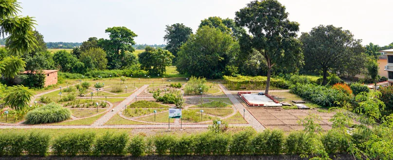The Ayurveda Herbal Garden with labelled beds of medicinal plants and gravel paths