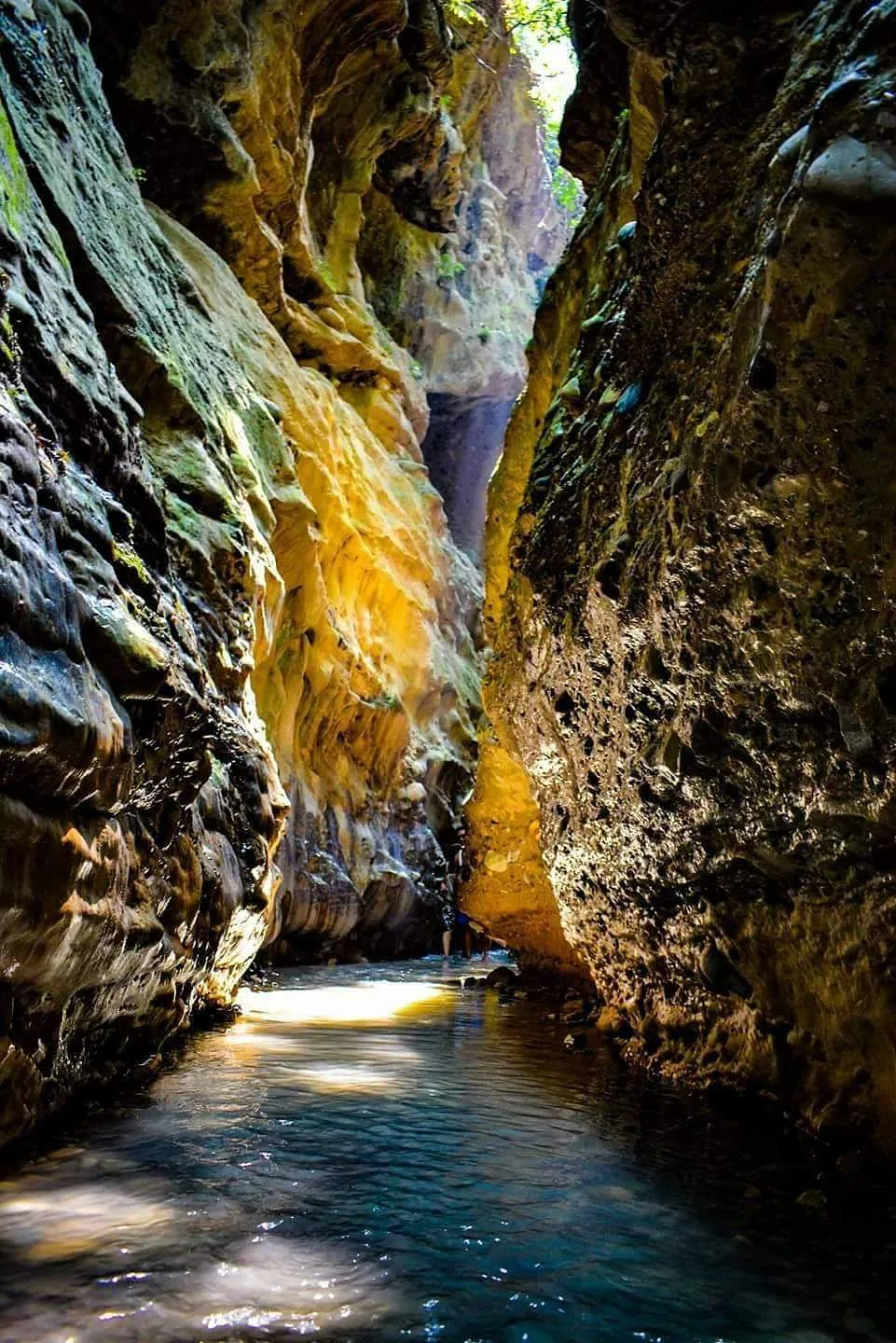 Sunlight in the gorge
