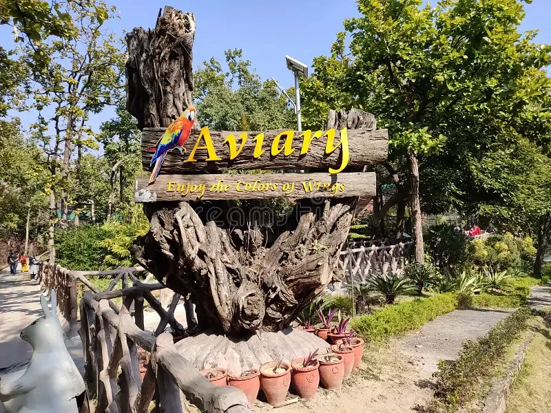 The aviary
